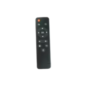 Remote Control for Electric Fireplace
